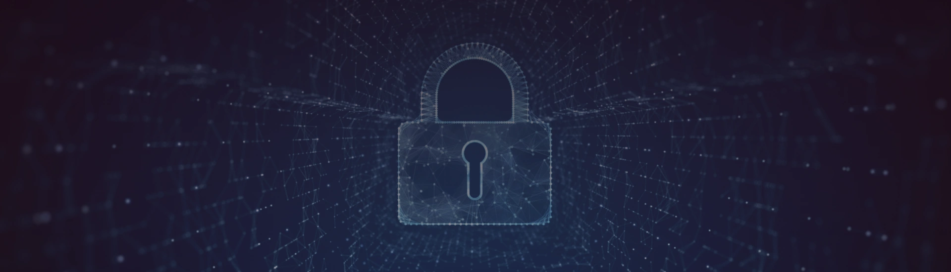 Privacidade